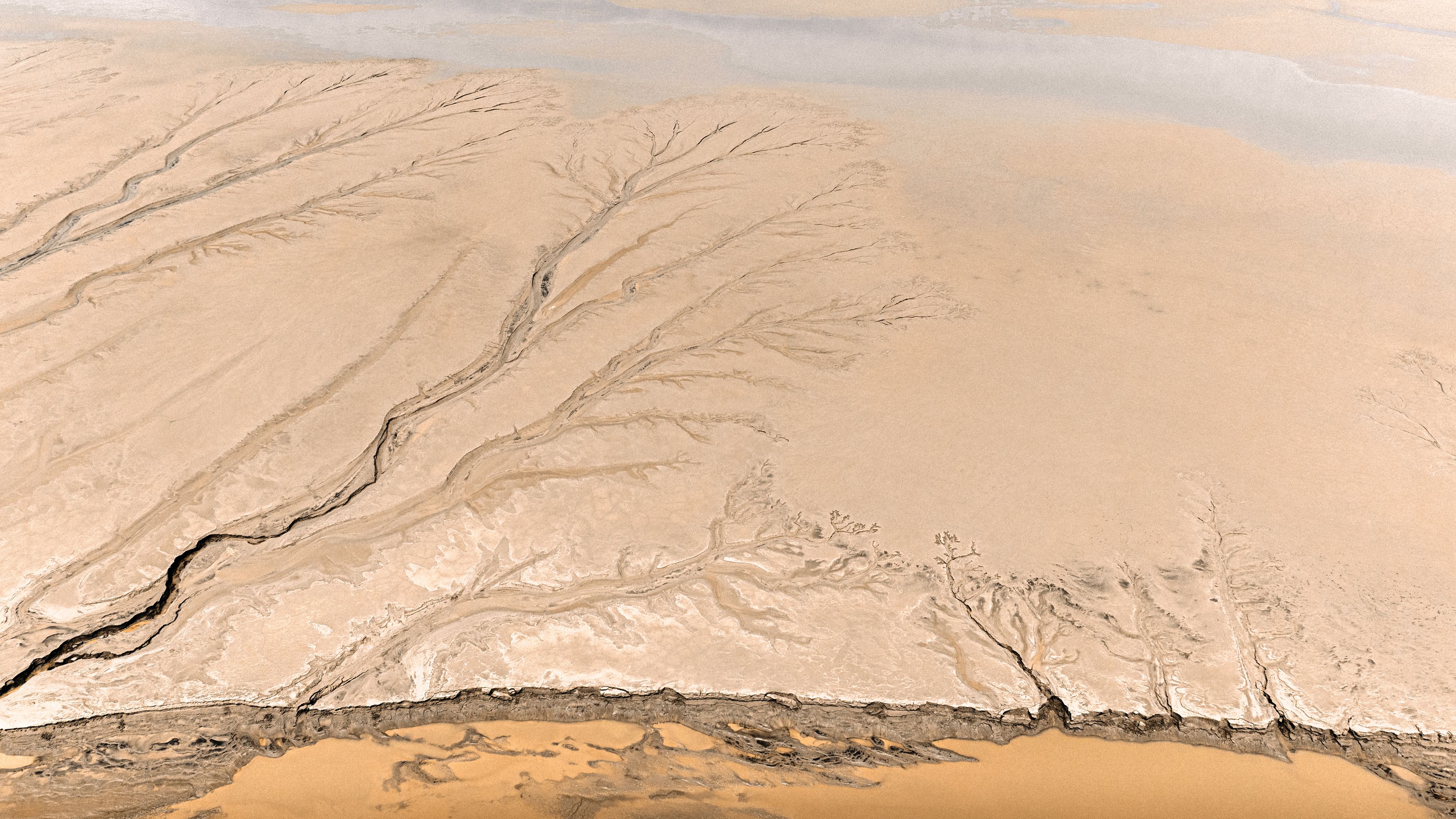High-altitude aerial view of a river delta: sediment fans, braided channels, and survey-line patterns the way a cartographer would have drawn a coastal jurisdiction by hand.